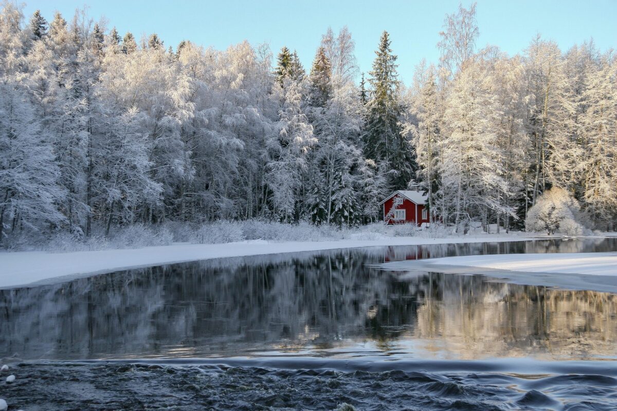 Forellenfischen im Winter
