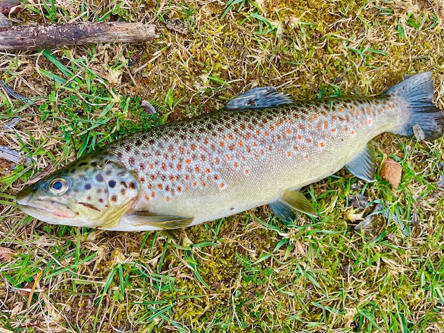 Angeltagebuch vom 16.3.2026